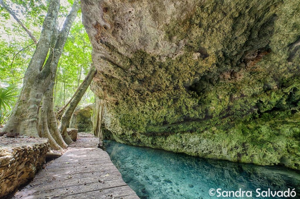 cenote isla alamos
