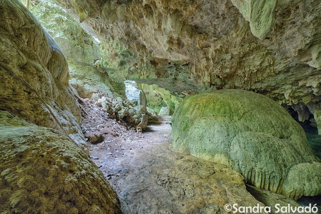 cenote alamos tulum