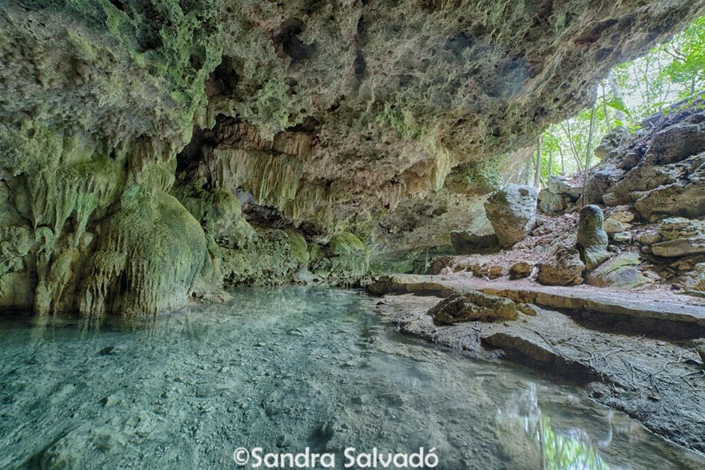 cenote isla alamos