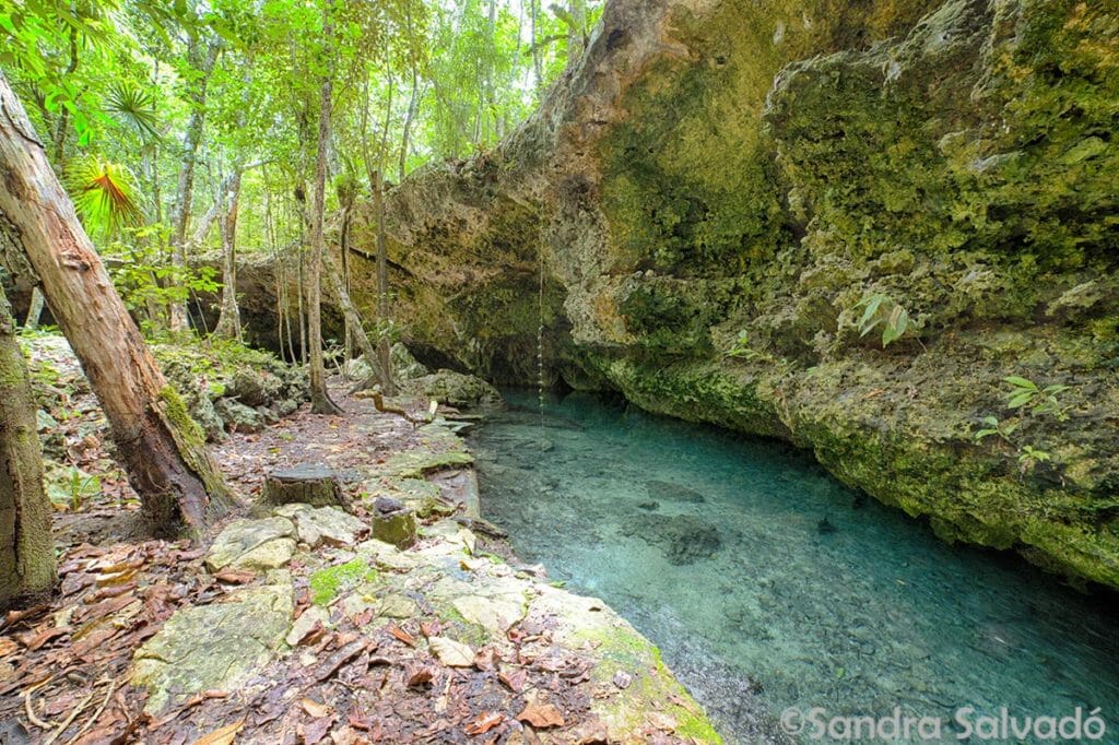 cenote isla alamos