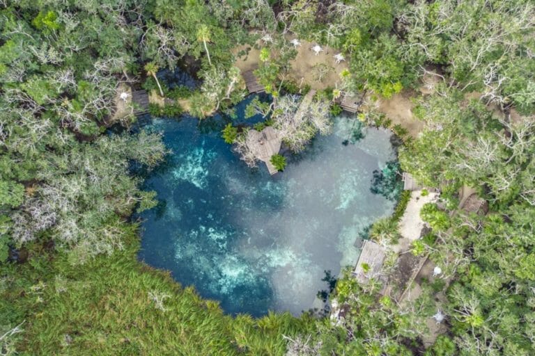 Mexican cenote shaped like an heart surrounded by trees aerial view