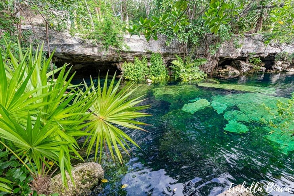 Emerald geen sink hole surrounded by lush vegetation