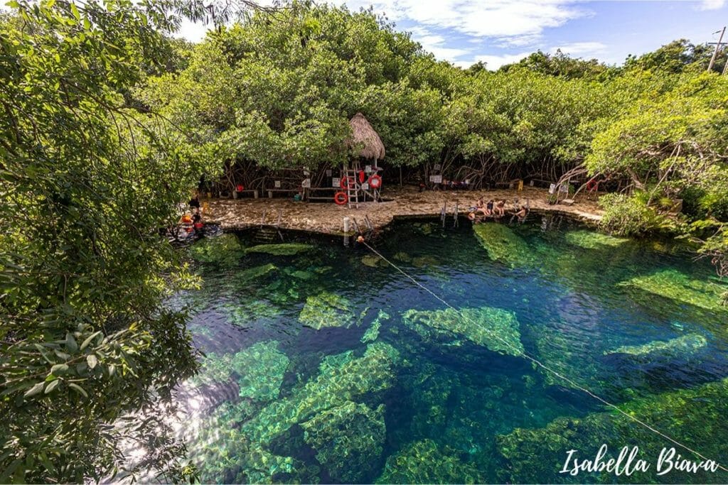 Cenote Cristalino overview