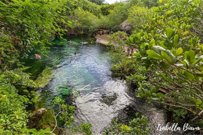 Cenote Cristalino People Swimming in the water