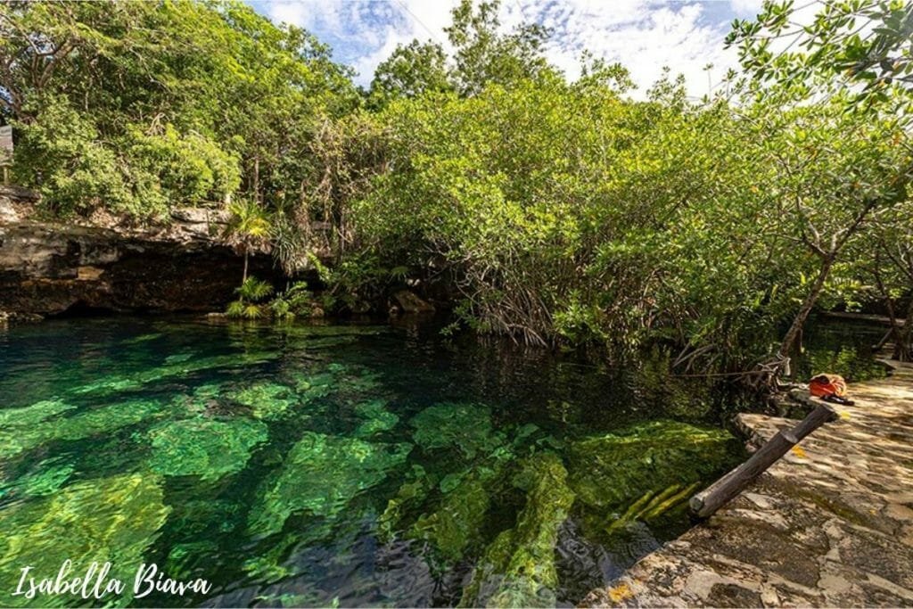 Cenote with emerald green water and a rocky platform