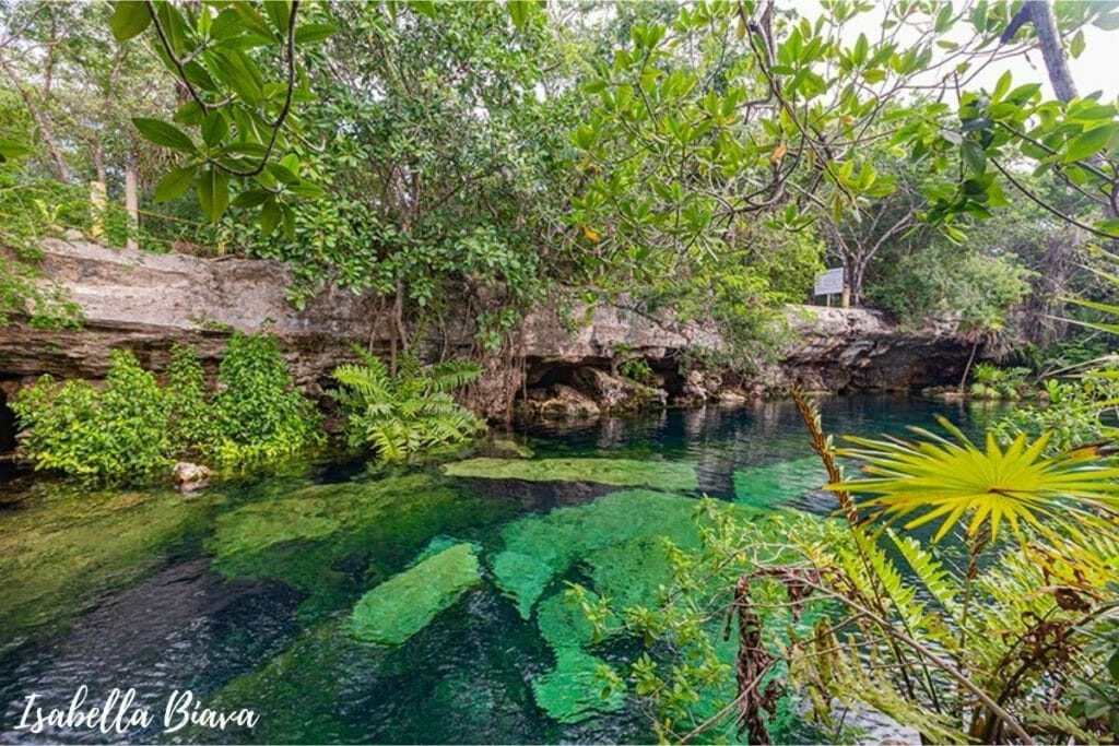 Cenote Cristalino