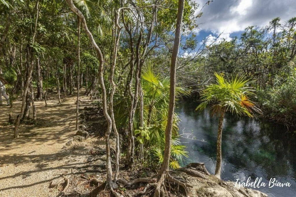 Cenote Escondido