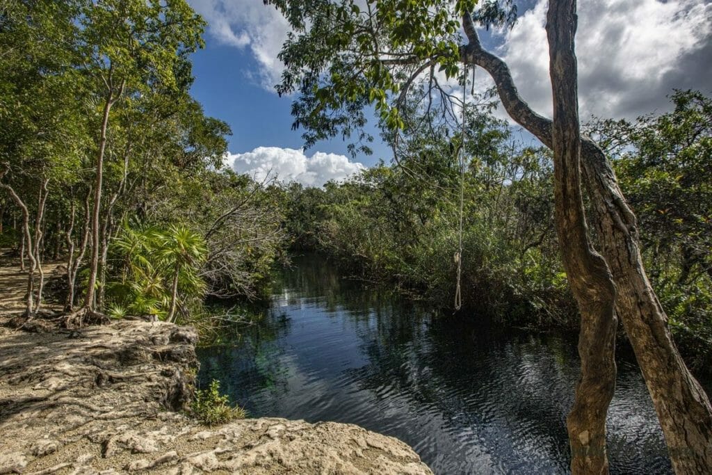 Cenote Escondido Platform