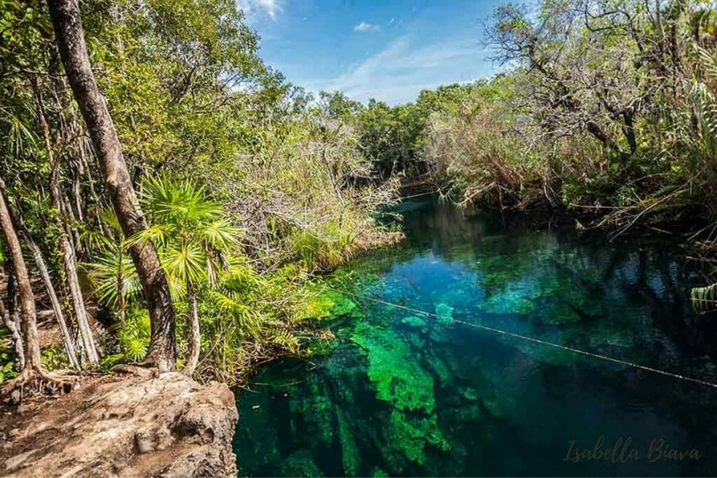 Cenote escondido 