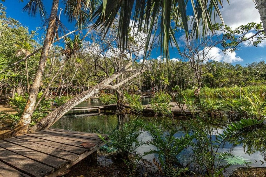 Cenote Corazon Platform