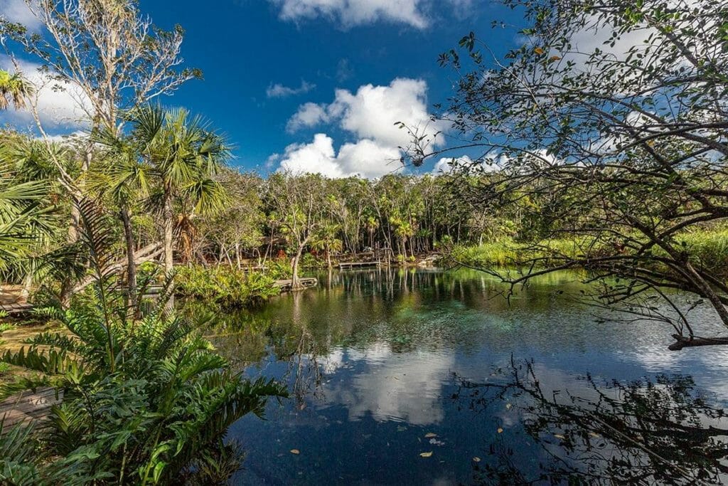 Cenote Corazon 