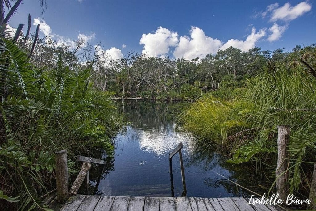 Cenote Cristal platform
