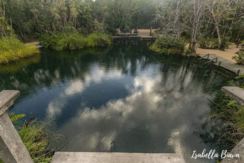 Cenote Cristal from the jumping platform