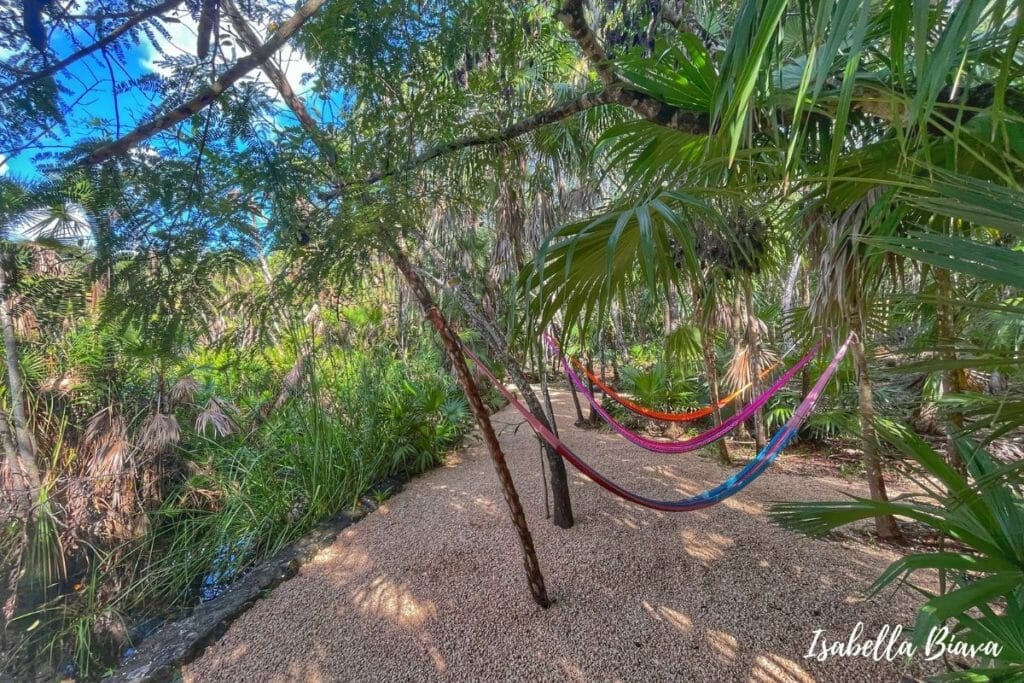 Cenote Cristal Hammocks