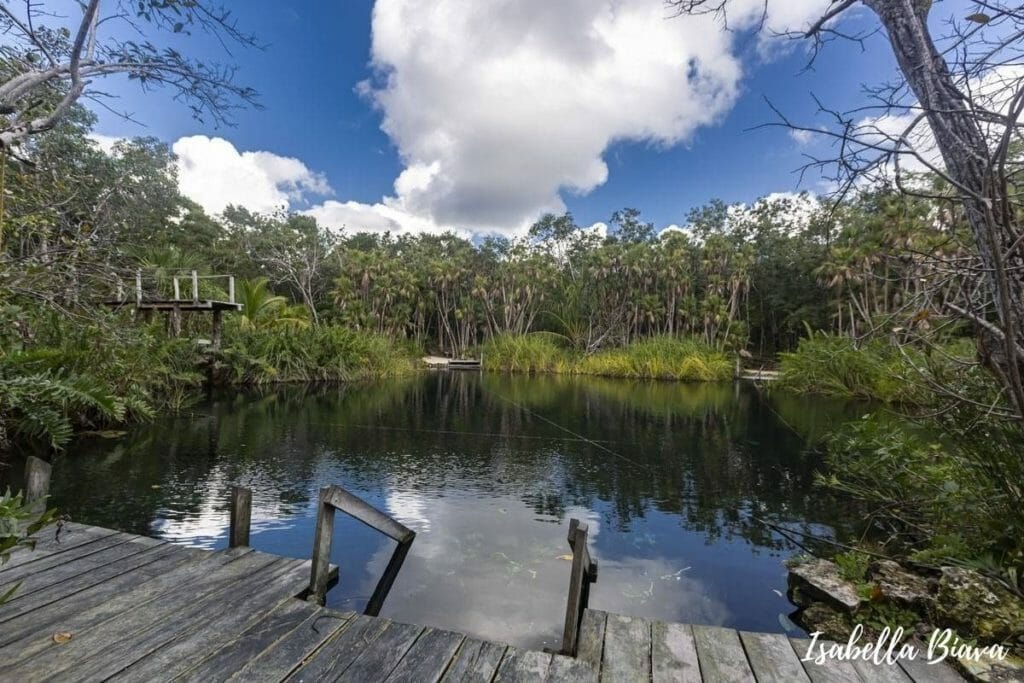 Cenote Cristal Platform