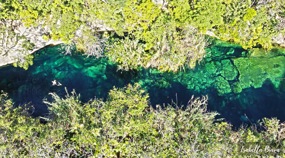 Cenote Escondido man swimming