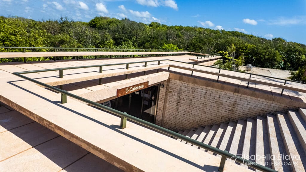 Modern structure with stairs leading to an underground café, surrounded by lush greenery under a clear blue sky.
