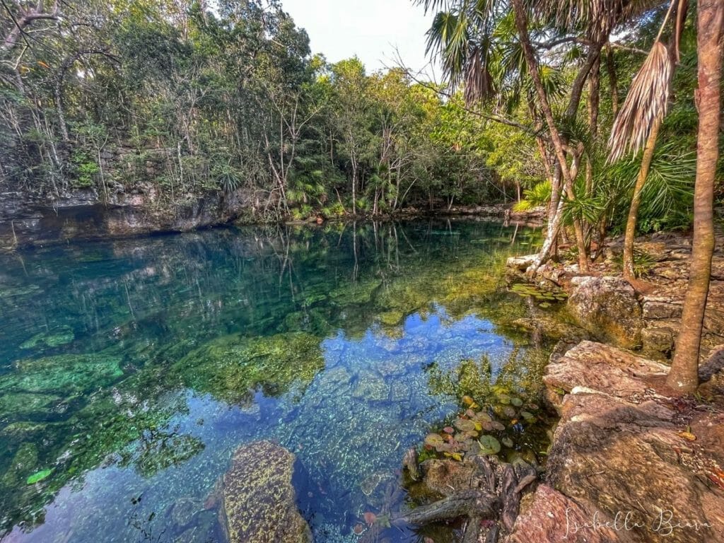 Cenote Chikin ha xtabai open cenote