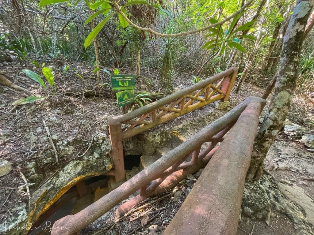 Taak Bil Ha cenote entrance