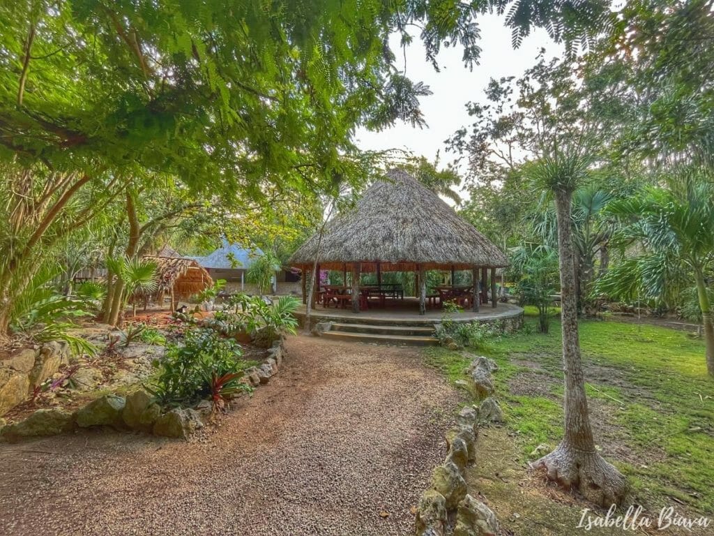 Cenotes Chickin ha Palapa
