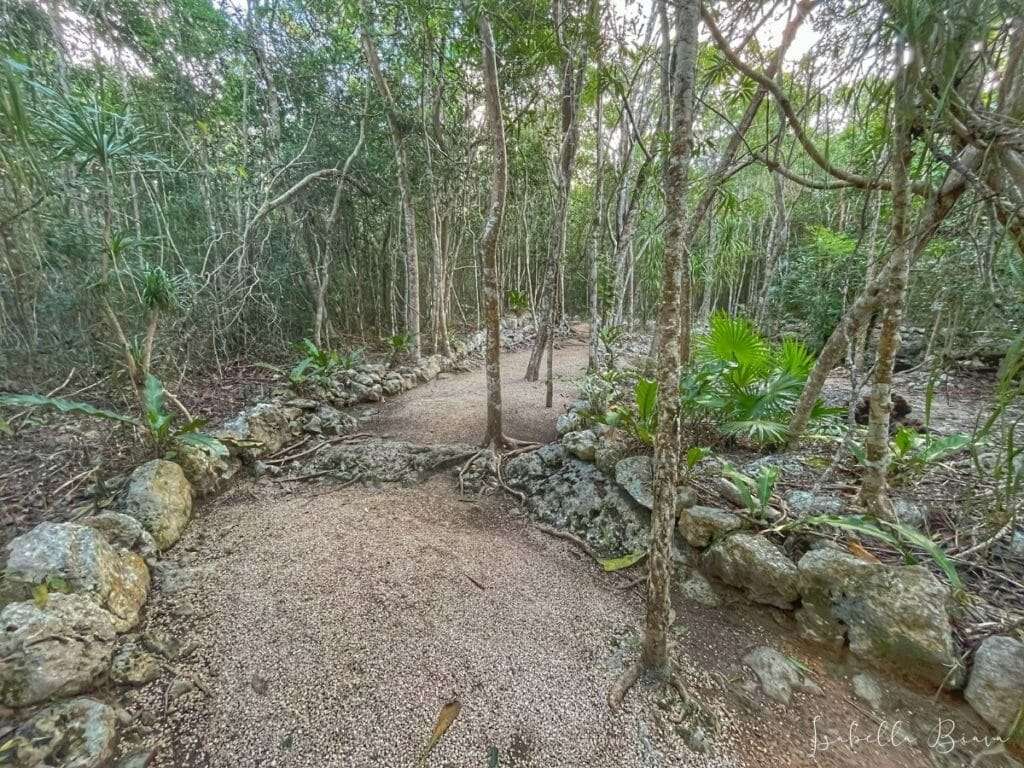 trail to taak bil ha cenote