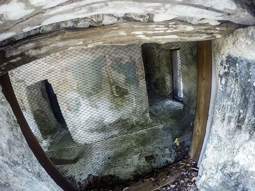 jaguar group xelha ruins