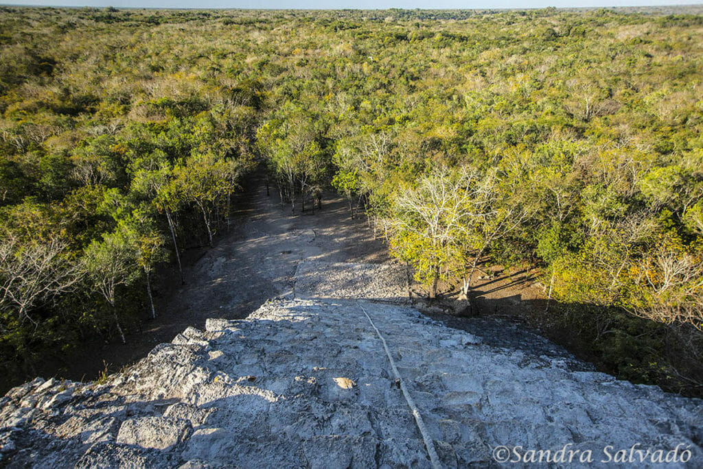 coba ruins