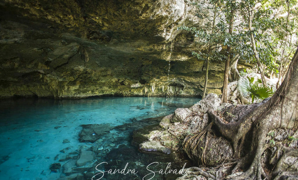 Cenote Dos Ojos
