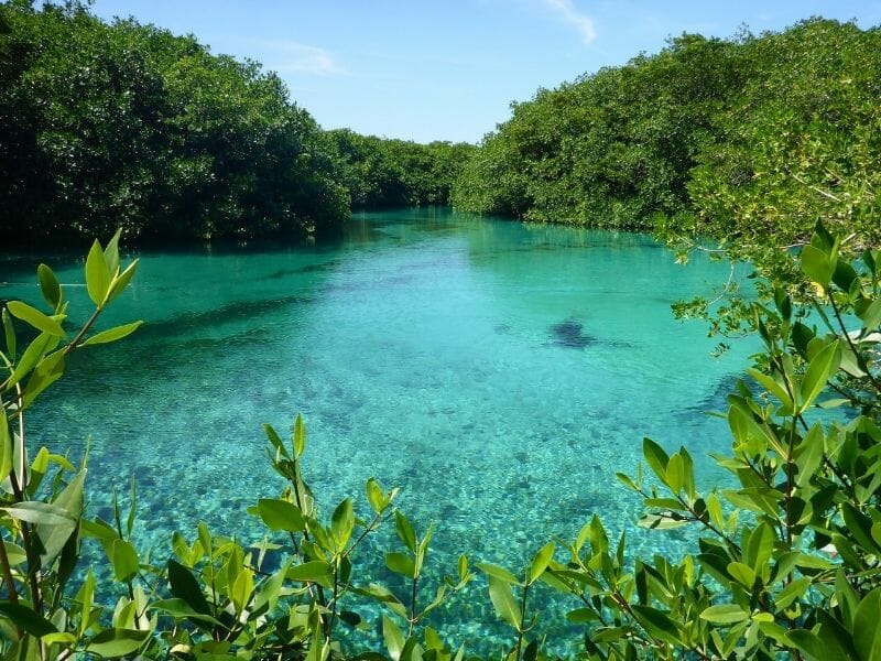 Casa cenote