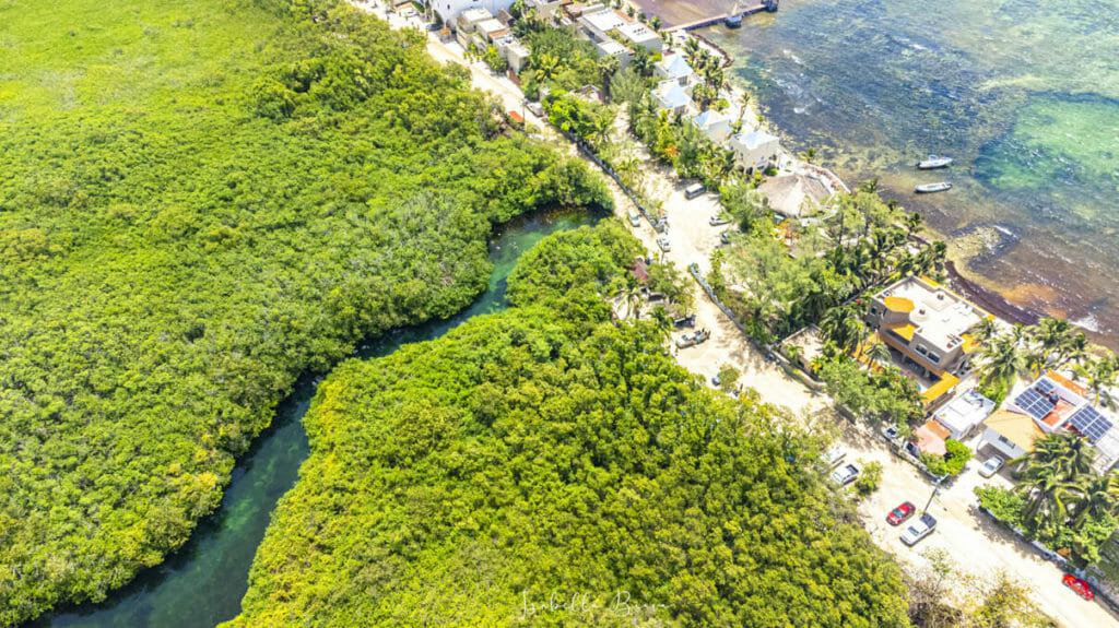 Casa Cenote 