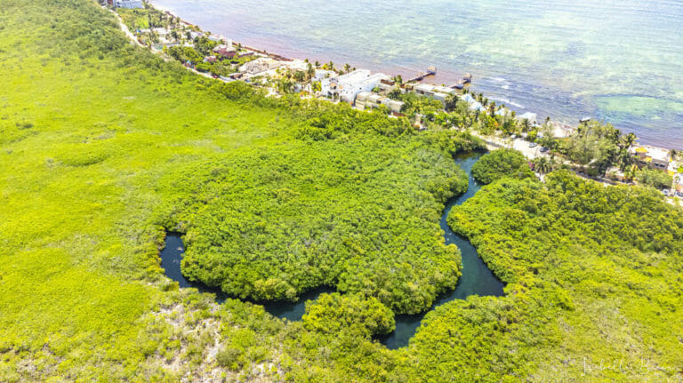 Casa Cenote drone view