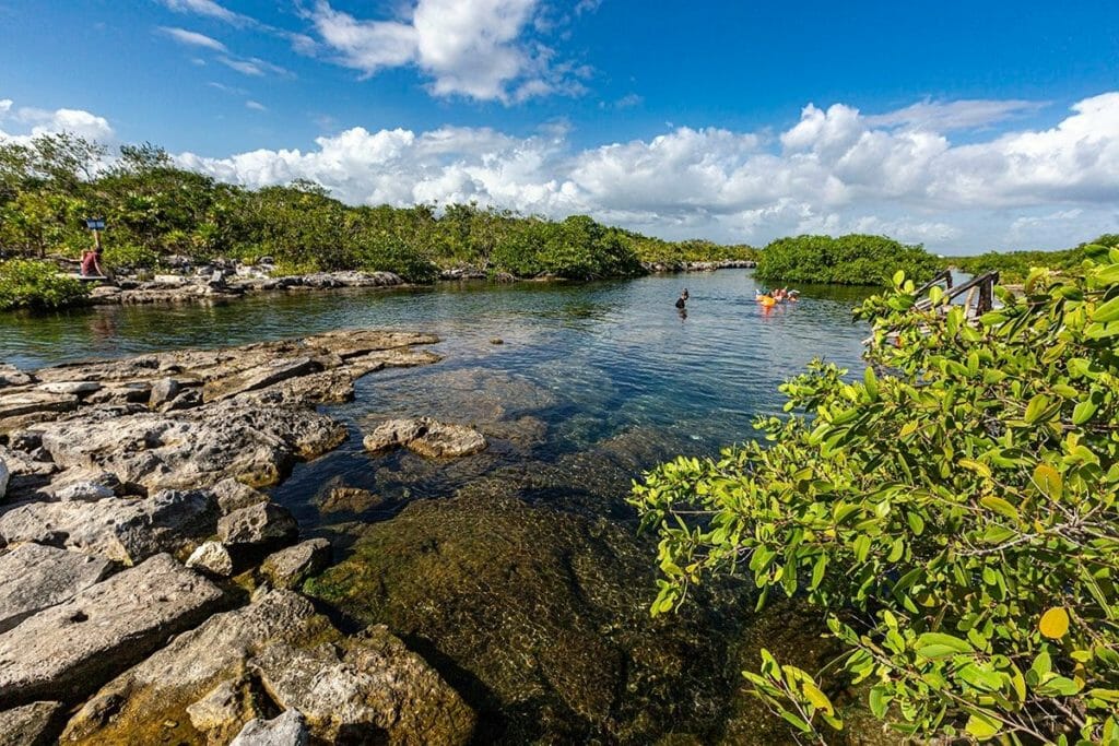 Yalku Lagoon mangroves