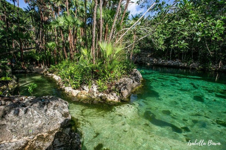 Cenote Yax Kin