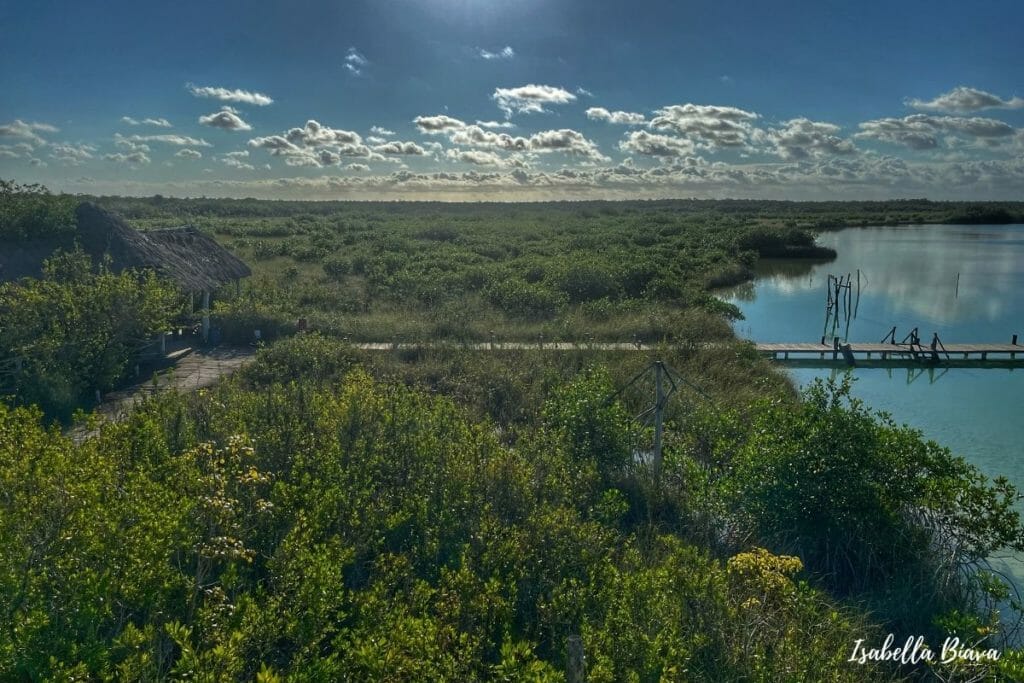 kaan luum from the lookout tower