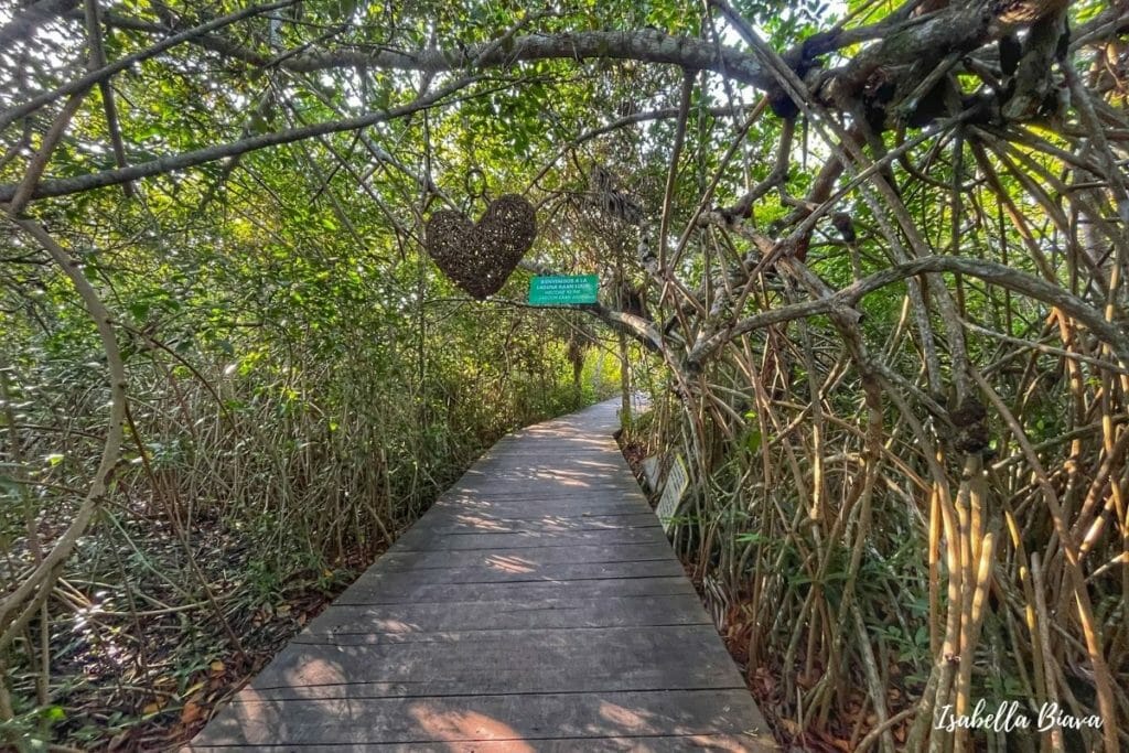 kaan luum path to the lake