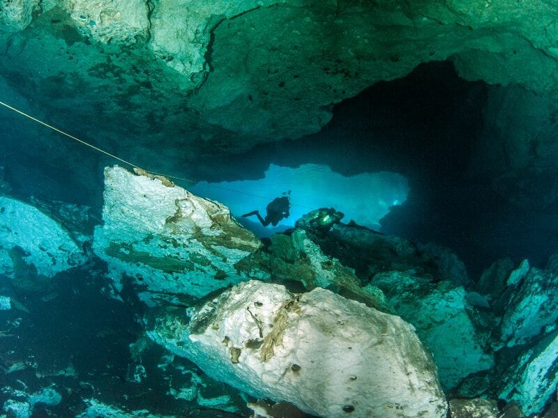 Cenote Jardin del Eden Diving 