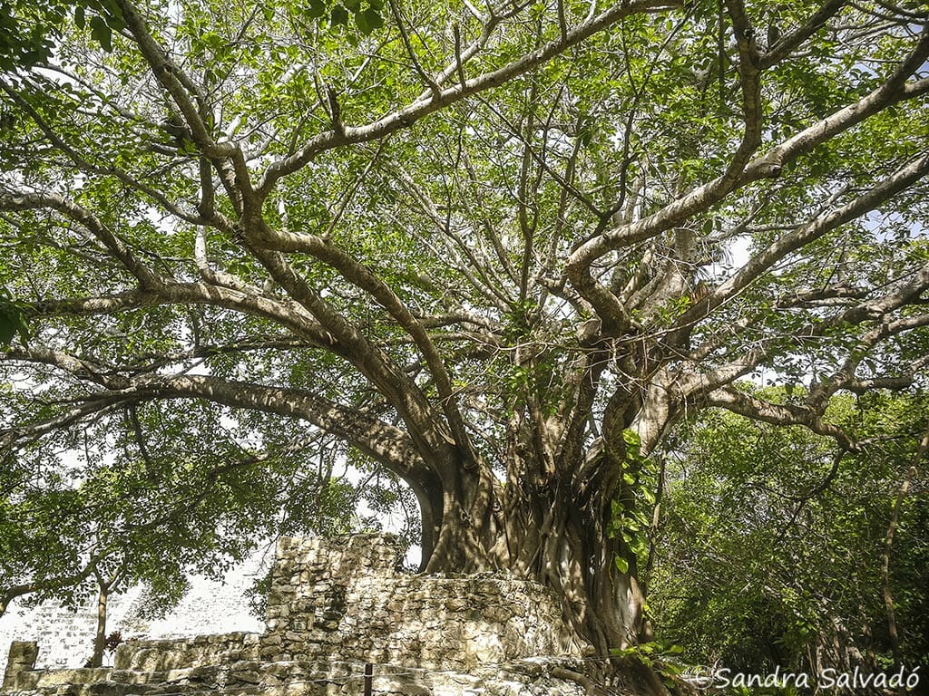 El Meco ruins