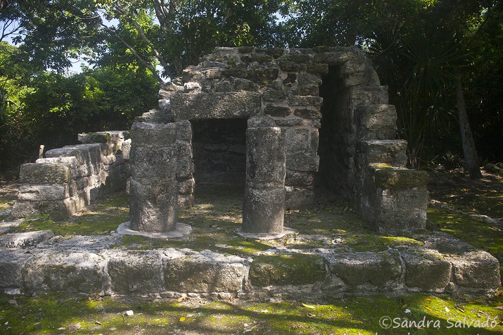 san gervasio ruins cozumel
