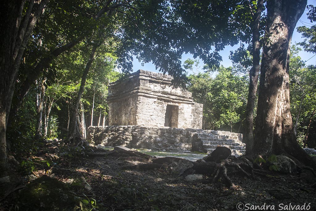 san gervasio ruins cozumel