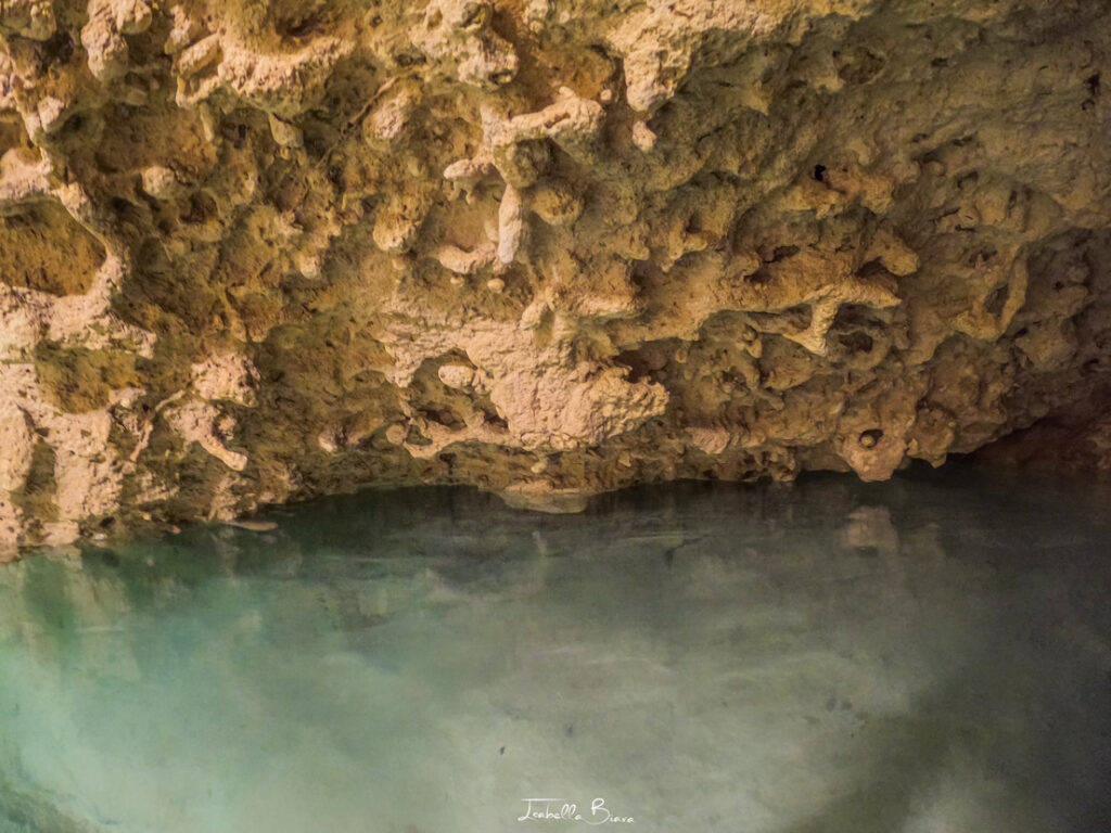 Cenote Mani Chan coral