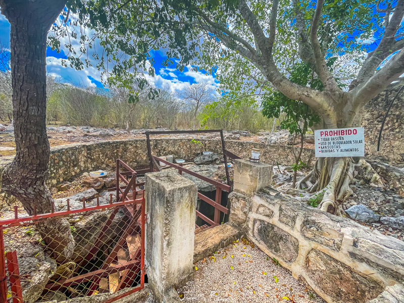 cenote cleotilda homun