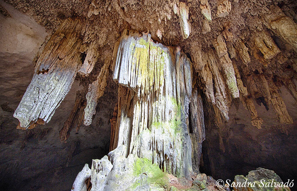 Cenote Bal-Mil, Homún, 