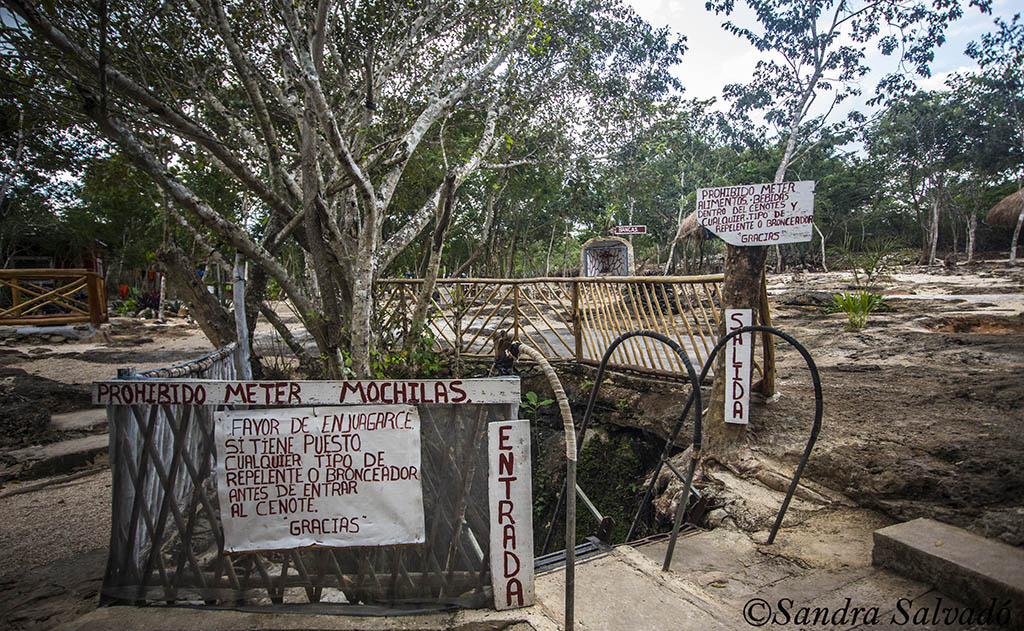 Cenote Canunchen, Homún