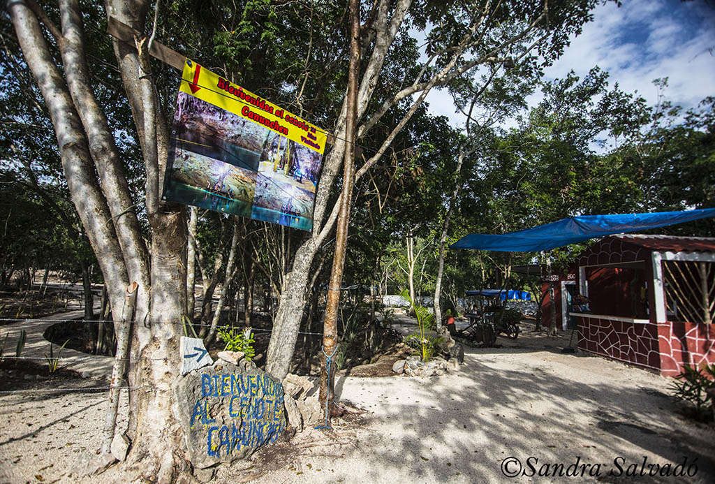 Cenote Canunchen, Homun