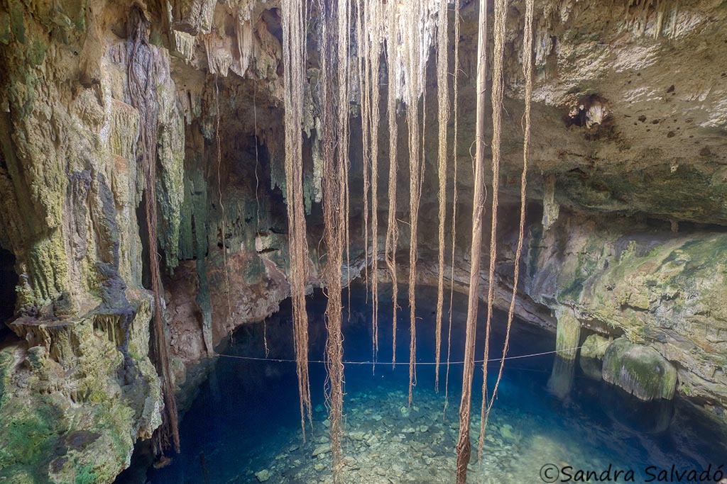 cenote cleotilda