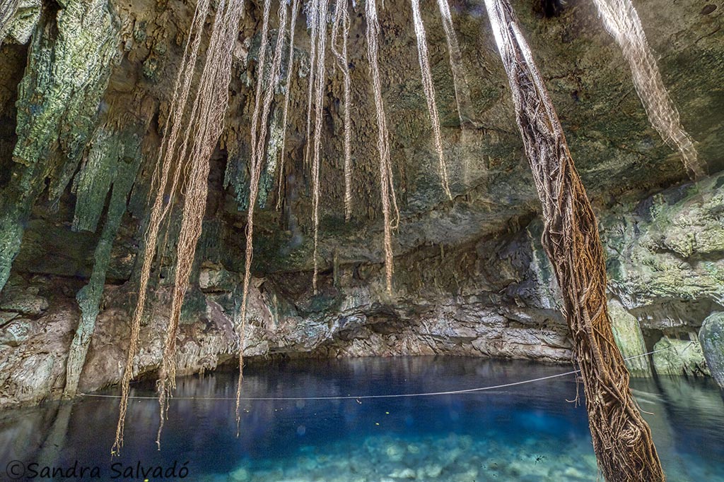 cenote cleotilda