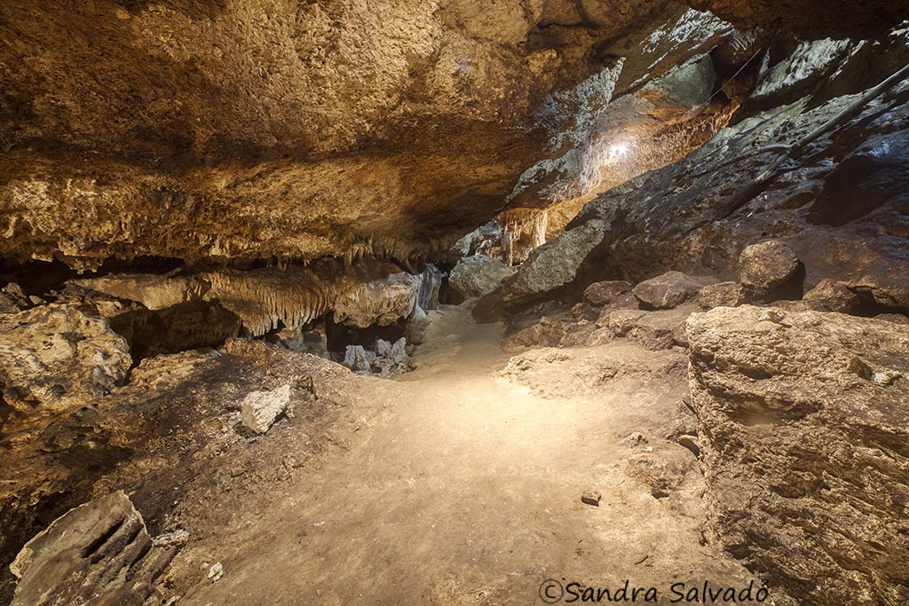 cenote mani chan