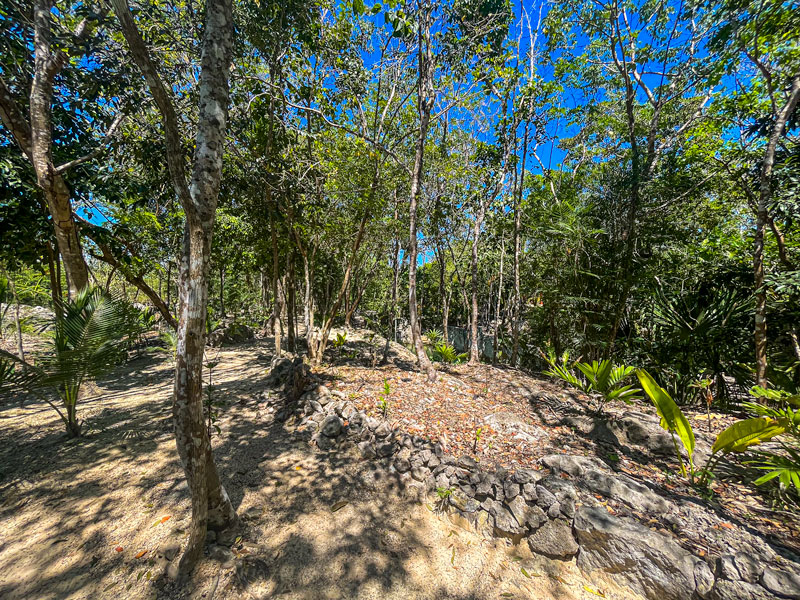 Cenote Casa del Alux garden