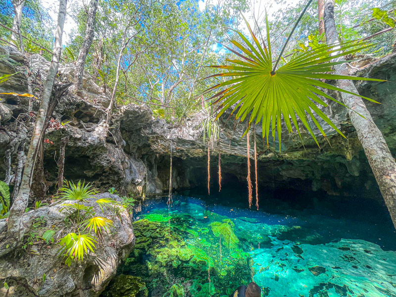 Cenote Minotauro