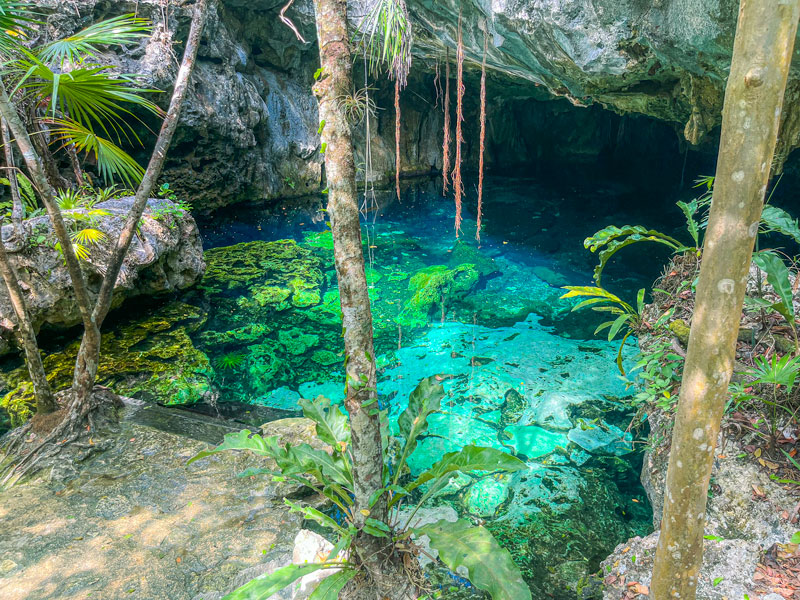 Cenote Minotauro green water